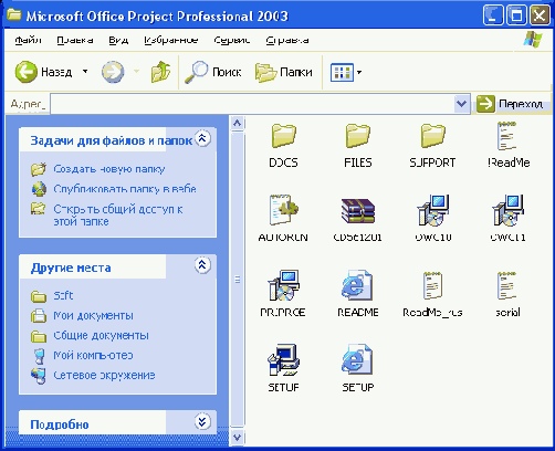 Microsoft Project 2003  
