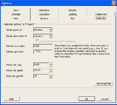 Microsoft Project 2003  
