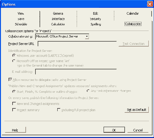 Microsoft Project 2003  
