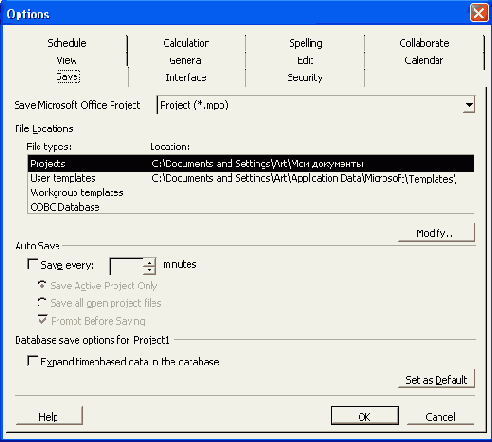 Microsoft Project 2003  
