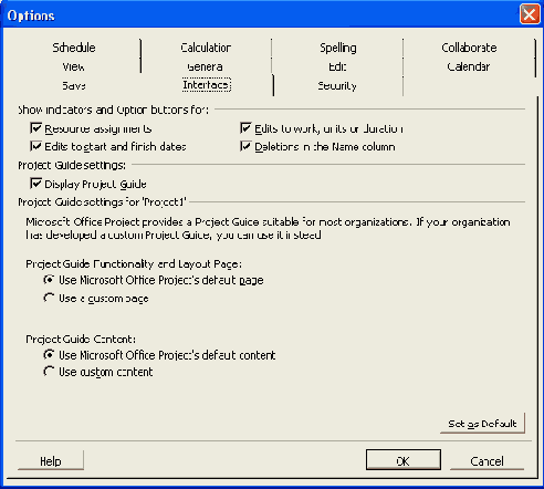 Microsoft Project 2003  
