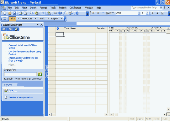 Microsoft Project 2003  
