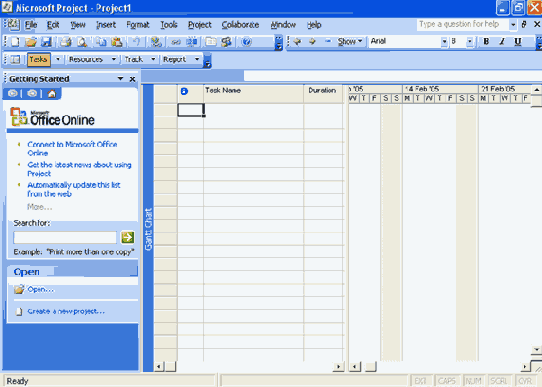Microsoft Project 2003  
