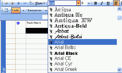 Microsoft Project 2003  
