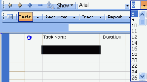 Microsoft Project 2003  
