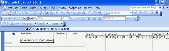 Microsoft Project 2003  
