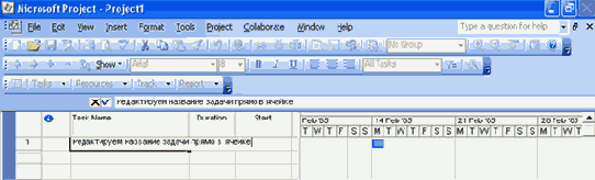 Microsoft Project 2003  
