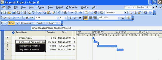 Microsoft Project 2003  

