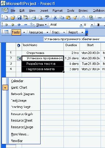 Microsoft Project 2003  
