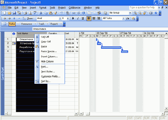 Microsoft Project 2003  
