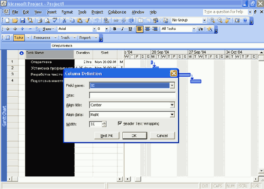 Microsoft Project 2003  
