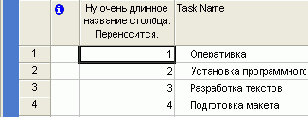 Microsoft Project 2003  
