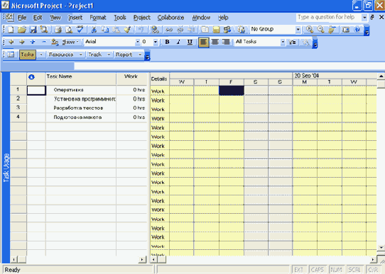 Microsoft Project 2003  
