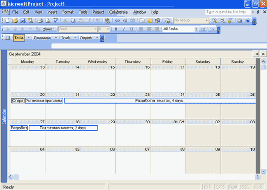 Microsoft Project 2003  
