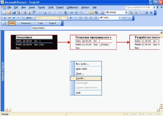 Microsoft Project 2003  

