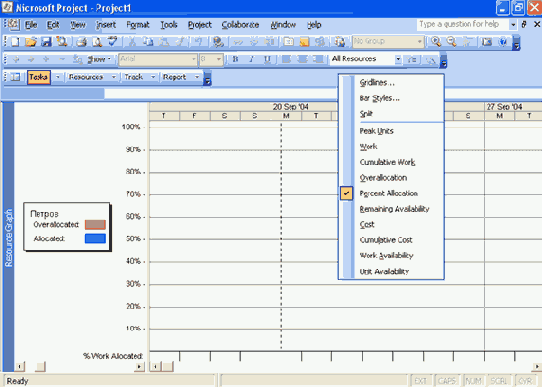 Microsoft Project 2003  
