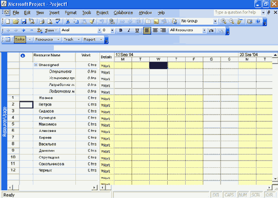 Microsoft Project 2003  
