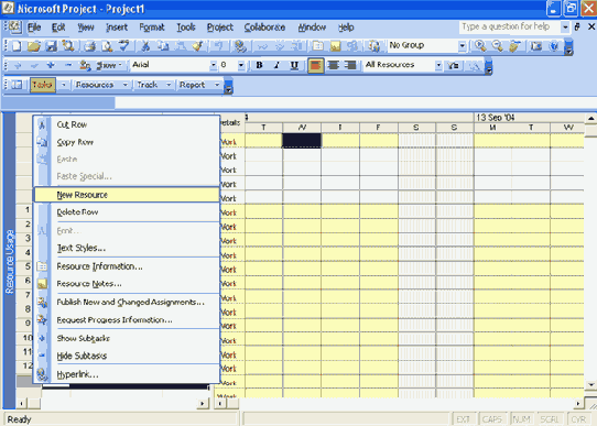 Microsoft Project 2003  
