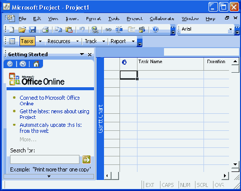 Microsoft Project 2003  
