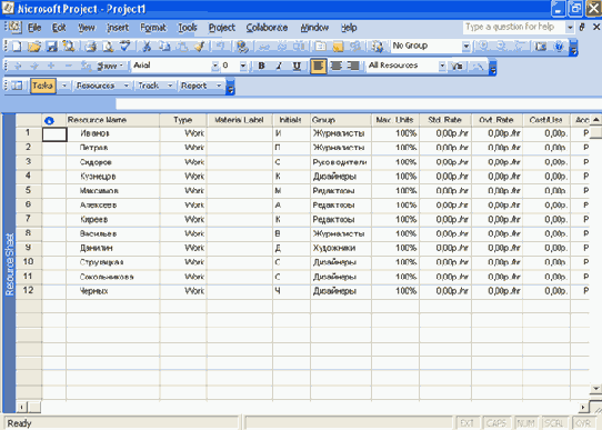 Microsoft Project 2003  

