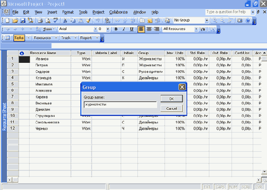 Microsoft Project 2003  
