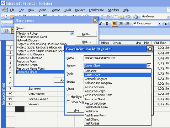 Microsoft Project 2003  
