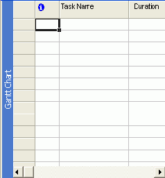 Microsoft Project 2003  

