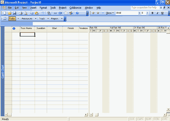 Microsoft Project 2003  
