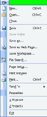 Microsoft Project 2003  
