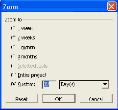 Microsoft Project 2003  
