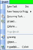 Microsoft Project 2003  
