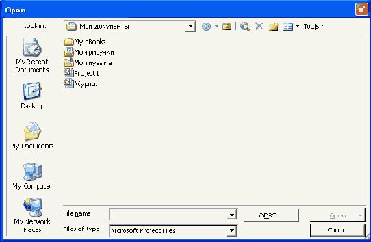 Microsoft Project 2003  
