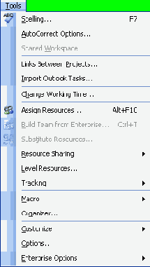 Microsoft Project 2003  
