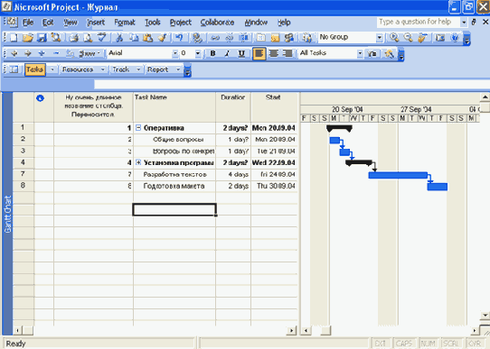 Microsoft Project 2003  
