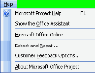 Microsoft Project 2003  
