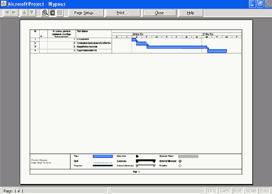 Microsoft Project 2003  

