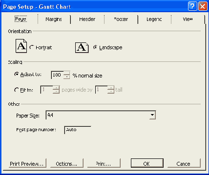 Microsoft Project 2003  
