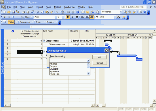 Microsoft Project 2003  
