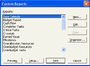 Microsoft Project 2003  
