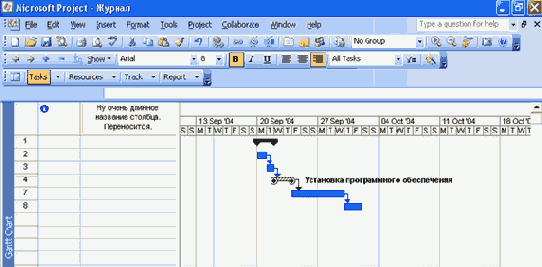 Microsoft Project 2003  
