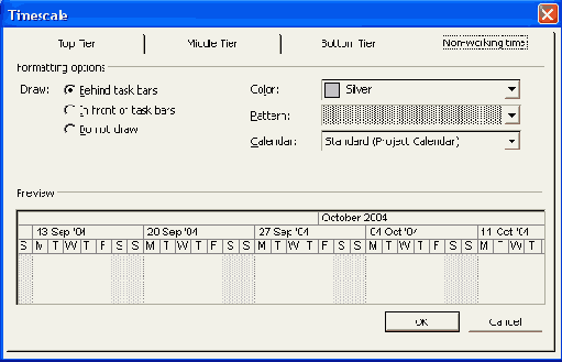 Microsoft Project 2003  
