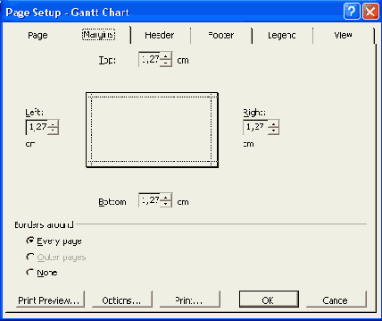 Microsoft Project 2003  
