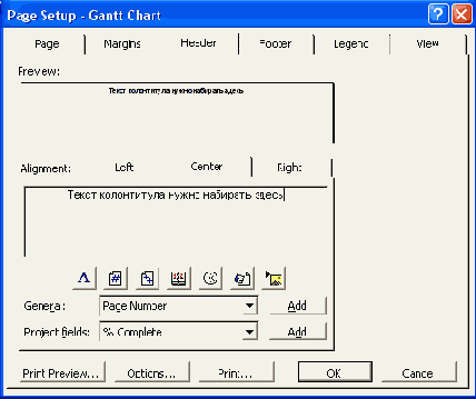 Microsoft Project 2003  
