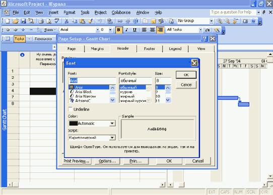 Microsoft Project 2003  

