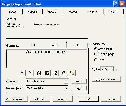 Microsoft Project 2003  
