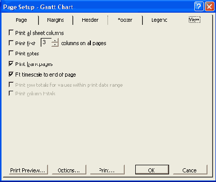 Microsoft Project 2003  
