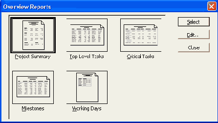 Microsoft Project 2003  
