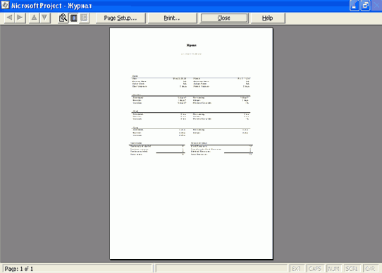 Microsoft Project 2003  
