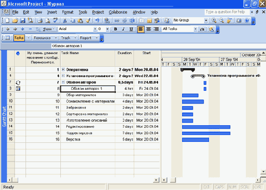 Microsoft Project 2003  

