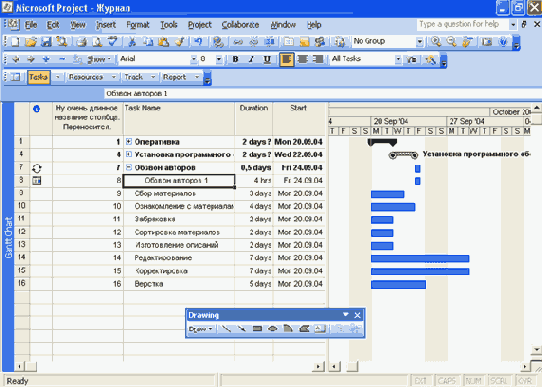 Microsoft Project 2003  
